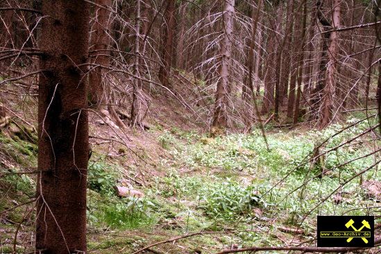 SDAG Wismut Schurf 6 bei Schacht 337 im Revier Johanngeorgenstadt, Erzgebirge, Sachsen - 21. Mai 2009 (3).jpg